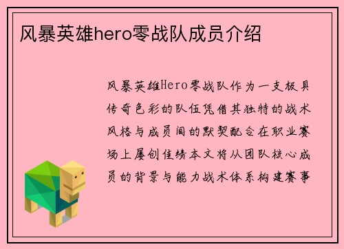 风暴英雄hero零战队成员介绍