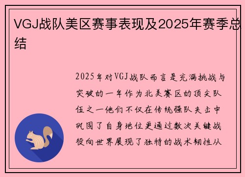 VGJ战队美区赛事表现及2025年赛季总结