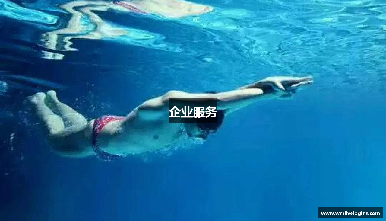 企业服务